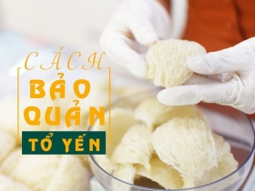 Cẩm Nang Tổ Yến 2026: Cách Chọn – Ngâm – Chưng – Bảo Quản & Mua Yến Chuẩn Tại GRAND MARKET