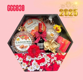 Giỏ Quà Tết Phát Tài GCC030