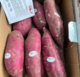 Khoai Lang Nhật Xuất Khẩu XDFarm - Thùng 3kg