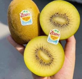 Kiwi Vàng Zespri New Zealand Size Jumbo