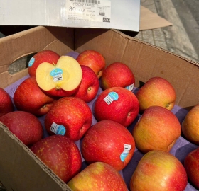 Táo mật 3A Evercrips Mỹ 