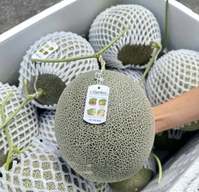 Dưa lưới mật Egarden 