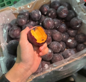 MẬN ĐEN RUỘT VÀNG ÚC