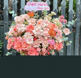 Box hoa hồng pastel hiện đại